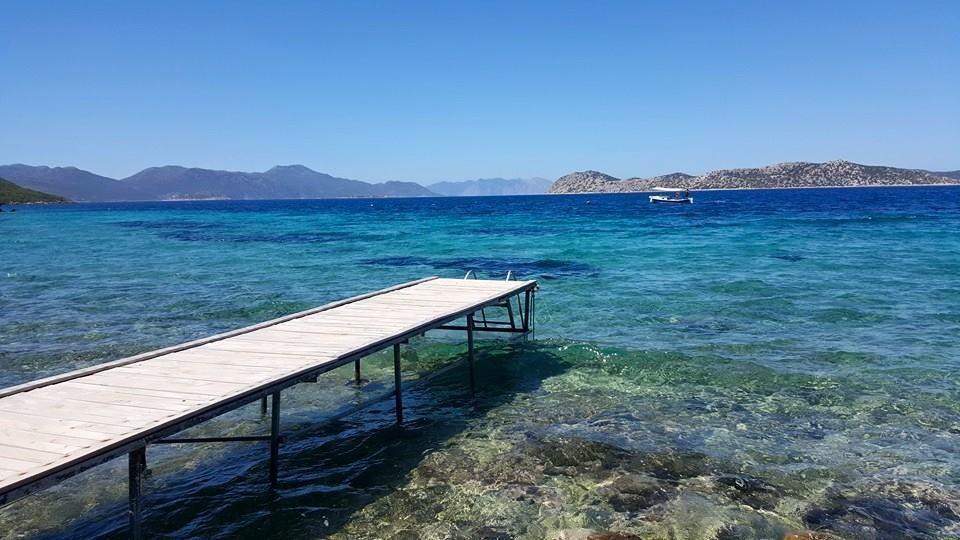 Hotel Mavi Akvaryum Pension Sogut  Esterno foto