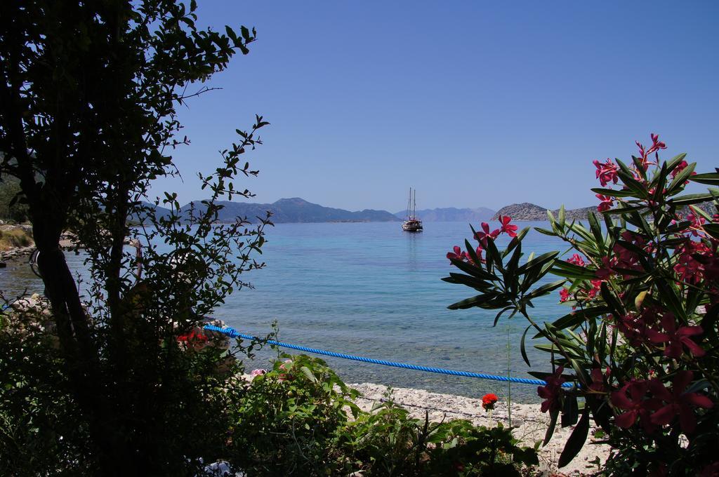 Hotel Mavi Akvaryum Pension Sogut  Esterno foto