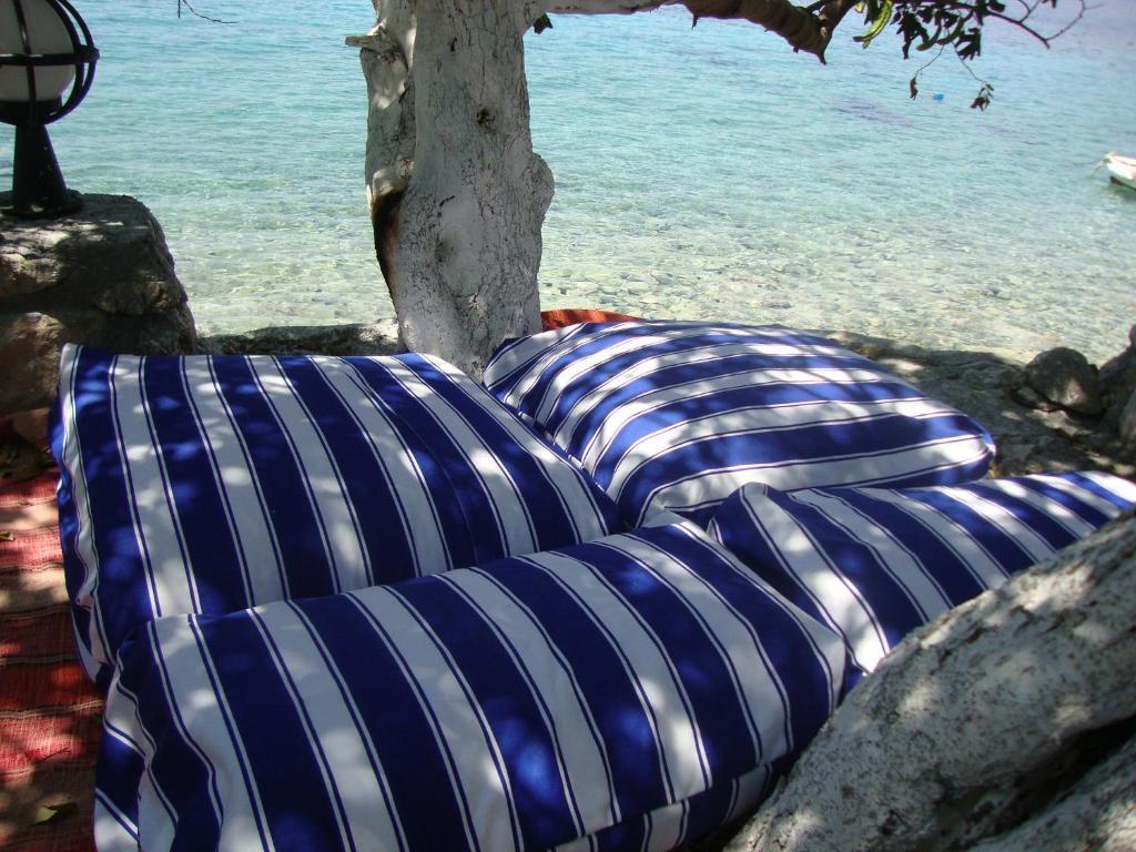 Hotel Mavi Akvaryum Pension Sogut  Esterno foto