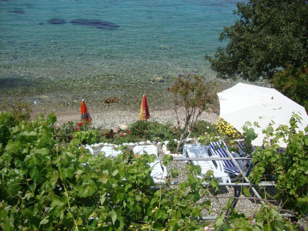 Hotel Mavi Akvaryum Pension Sogut  Esterno foto