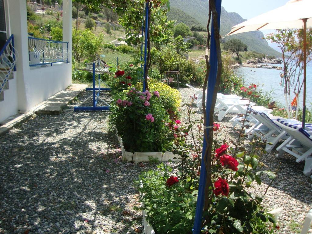 Hotel Mavi Akvaryum Pension Sogut  Esterno foto