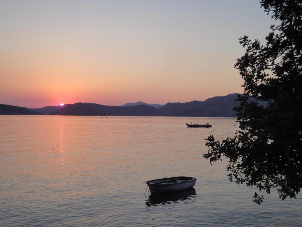 Hotel Mavi Akvaryum Pension Sogut  Esterno foto
