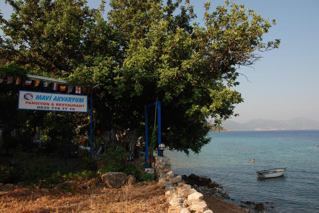 Hotel Mavi Akvaryum Pension Sogut  Esterno foto