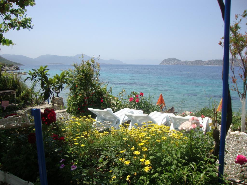 Hotel Mavi Akvaryum Pension Sogut  Esterno foto