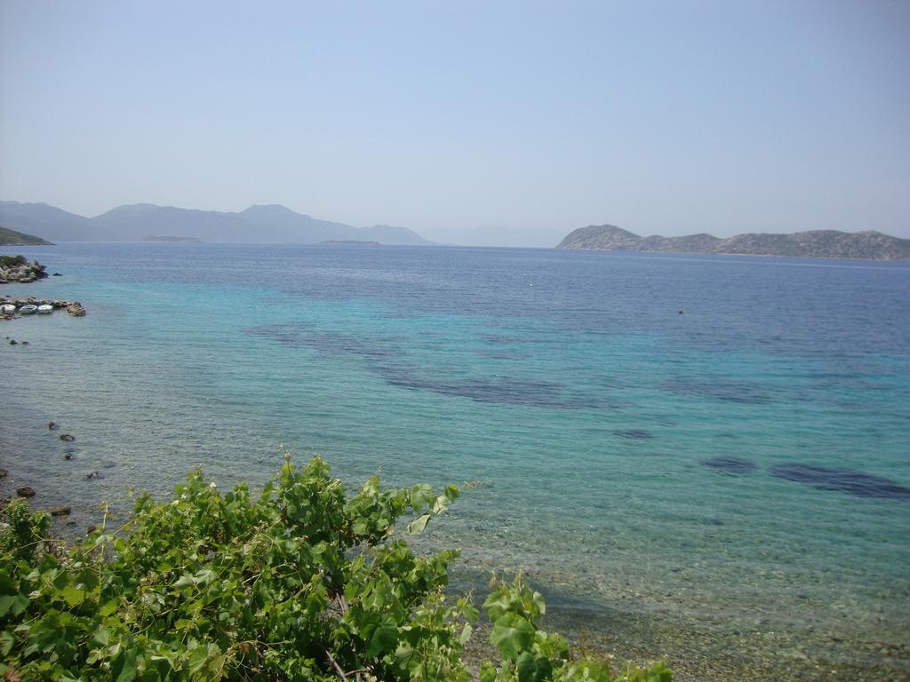 Hotel Mavi Akvaryum Pension Sogut  Esterno foto